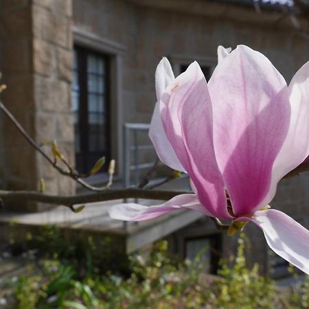 Alvores Do Tempo - Quinta De Turismo Rural Guest House Castro Daire Bagian luar foto