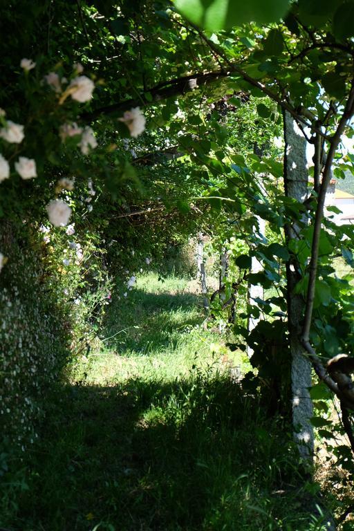 Alvores Do Tempo - Quinta De Turismo Rural Guest House Castro Daire Bagian luar foto