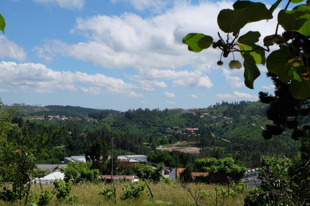 Alvores Do Tempo - Quinta De Turismo Rural Guest House Castro Daire Bagian luar foto