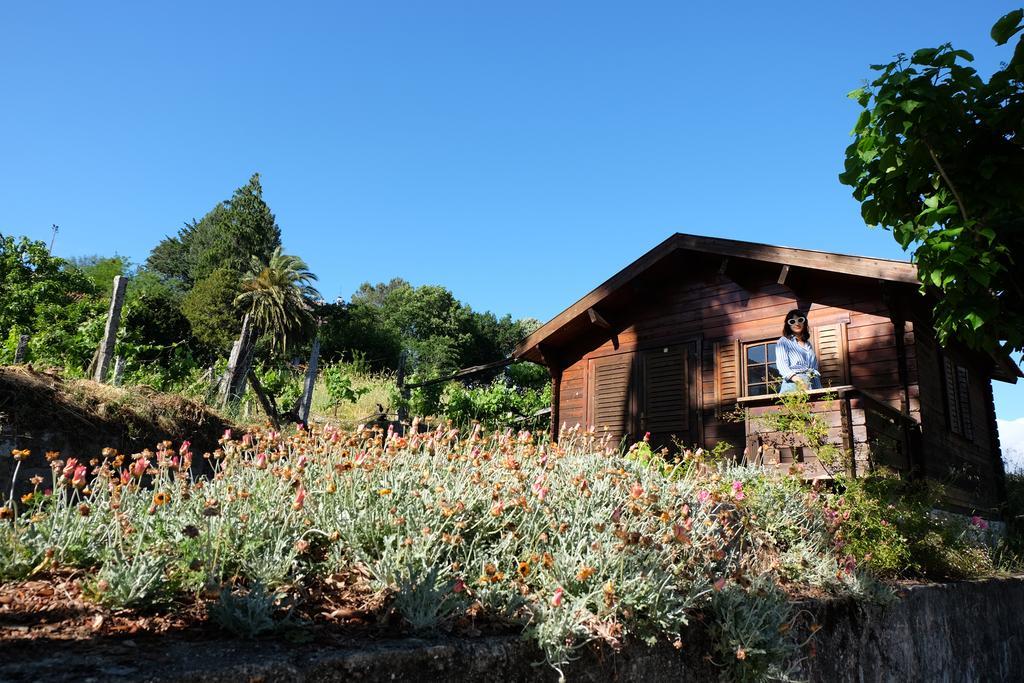 Alvores Do Tempo - Quinta De Turismo Rural Guest House Castro Daire Bagian luar foto