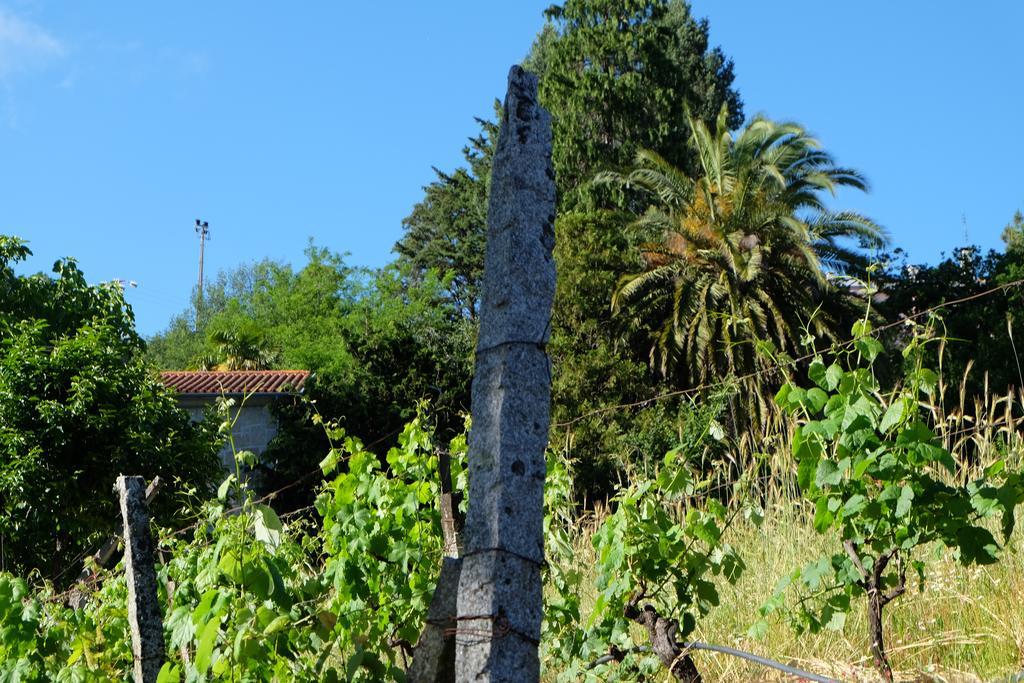 Alvores Do Tempo - Quinta De Turismo Rural Guest House Castro Daire Bagian luar foto