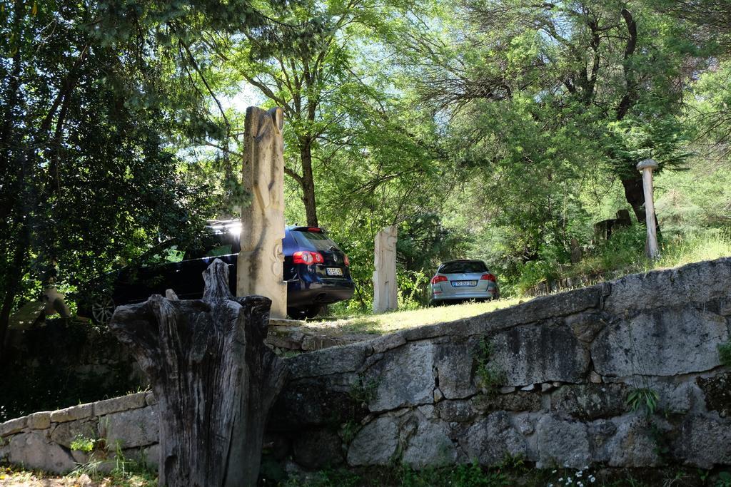 Alvores Do Tempo - Quinta De Turismo Rural Guest House Castro Daire Bagian luar foto