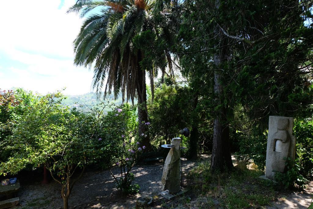 Alvores Do Tempo - Quinta De Turismo Rural Guest House Castro Daire Bagian luar foto