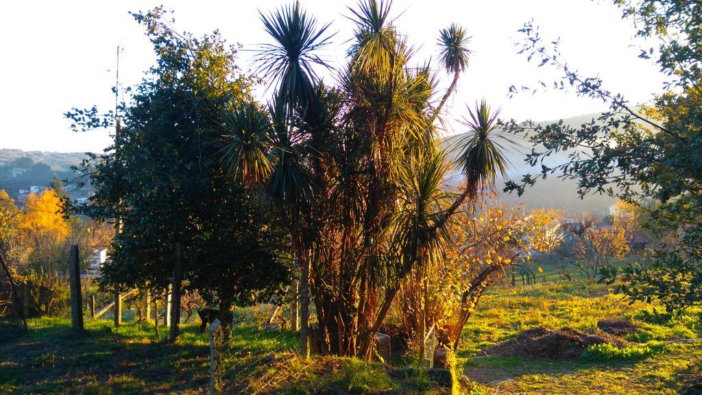 Alvores Do Tempo - Quinta De Turismo Rural Guest House Castro Daire Bagian luar foto