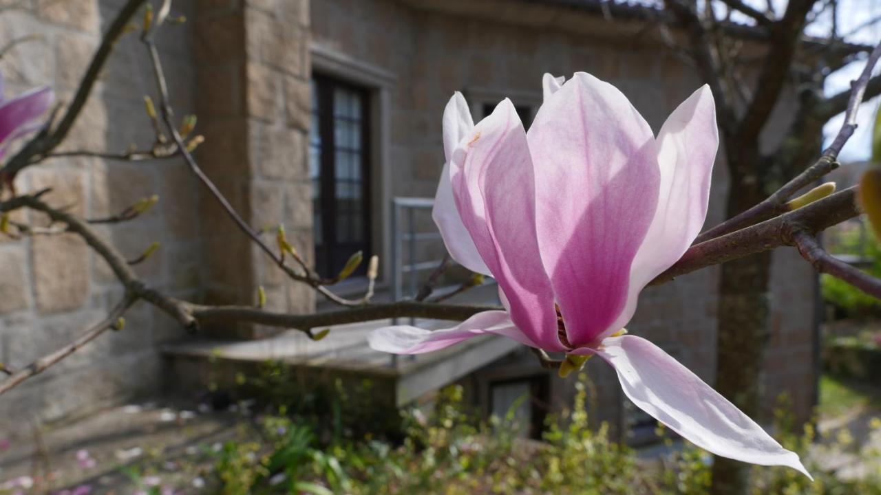 Alvores Do Tempo - Quinta De Turismo Rural Guest House Castro Daire Bagian luar foto