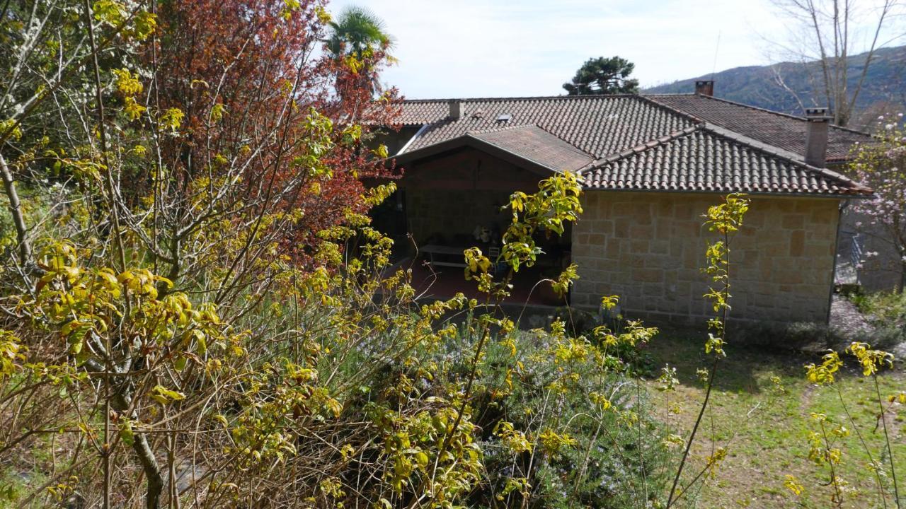 Alvores Do Tempo - Quinta De Turismo Rural Guest House Castro Daire Bagian luar foto